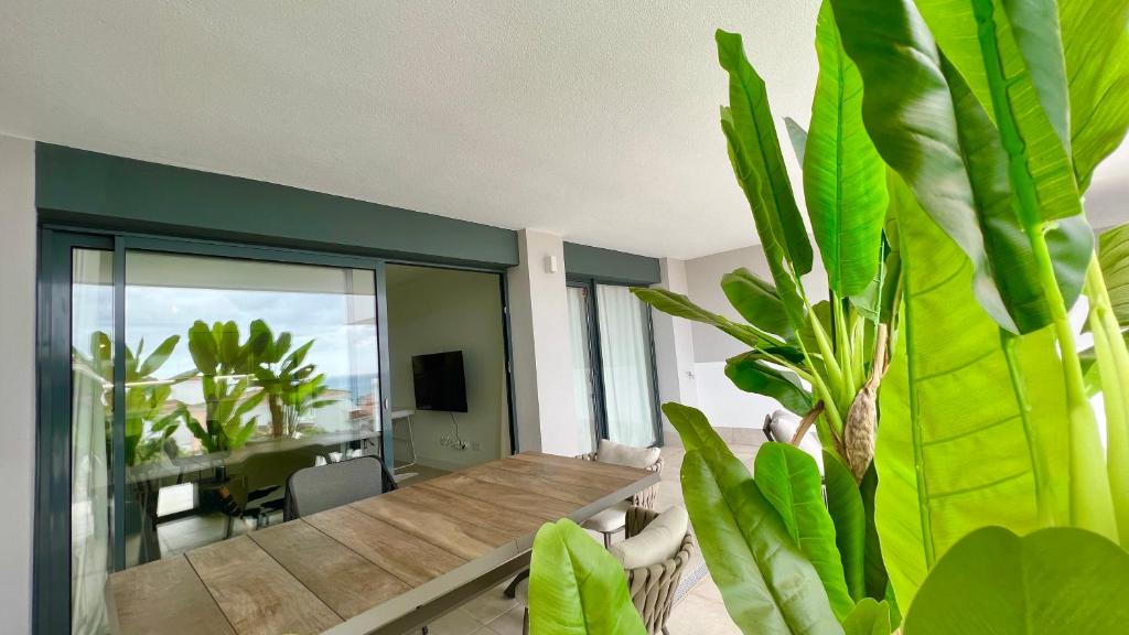 Pure South Luxury Apartment photo 4