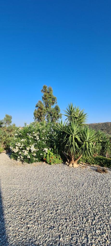 Villa Nisi photo 3