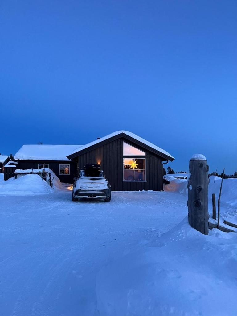 Cozy family cabin right by cycle tracks in the summer and alpine in the winter photo 1