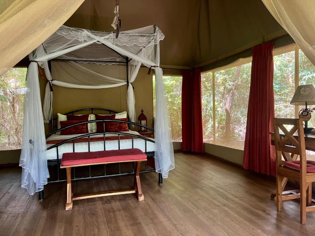 Ikweta Safari Camp photo 3