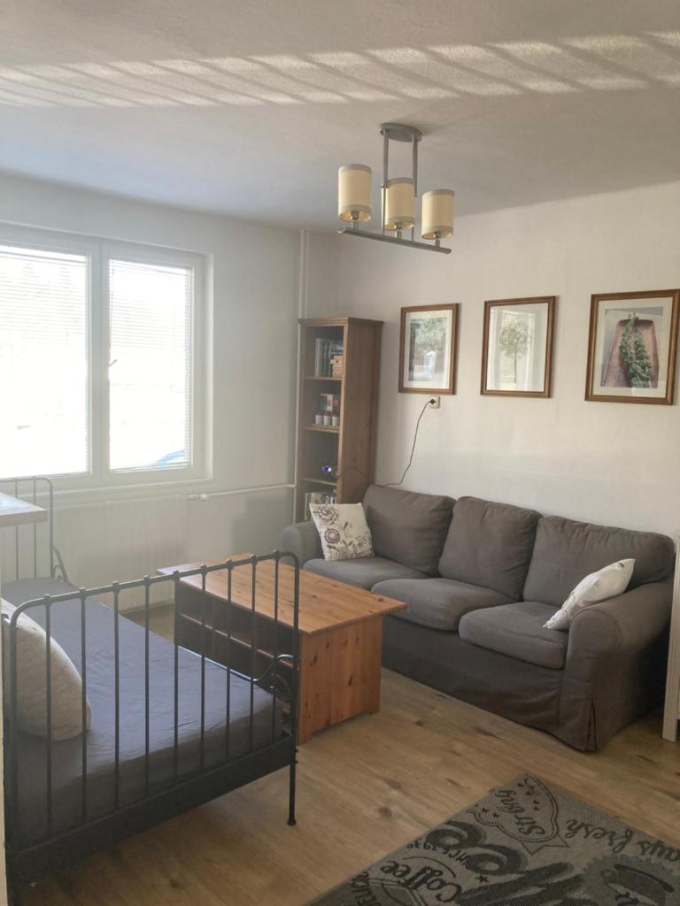 Apartmán se zahradou v Protivíně č.2 photo 1