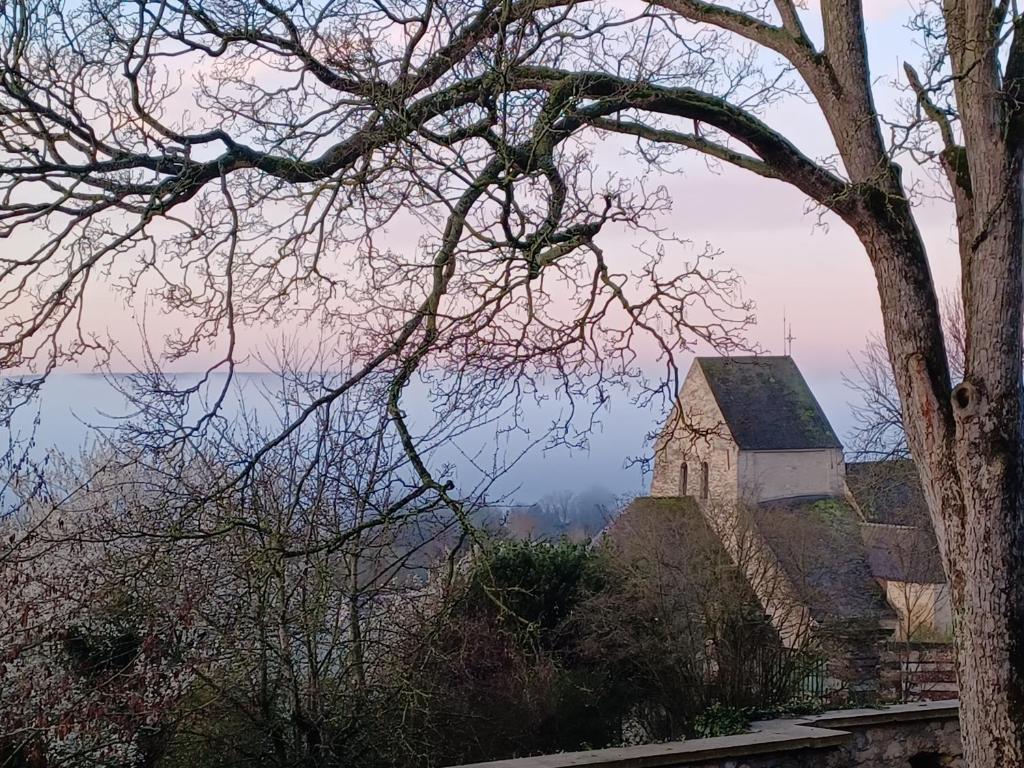 LE VERGER photo 2