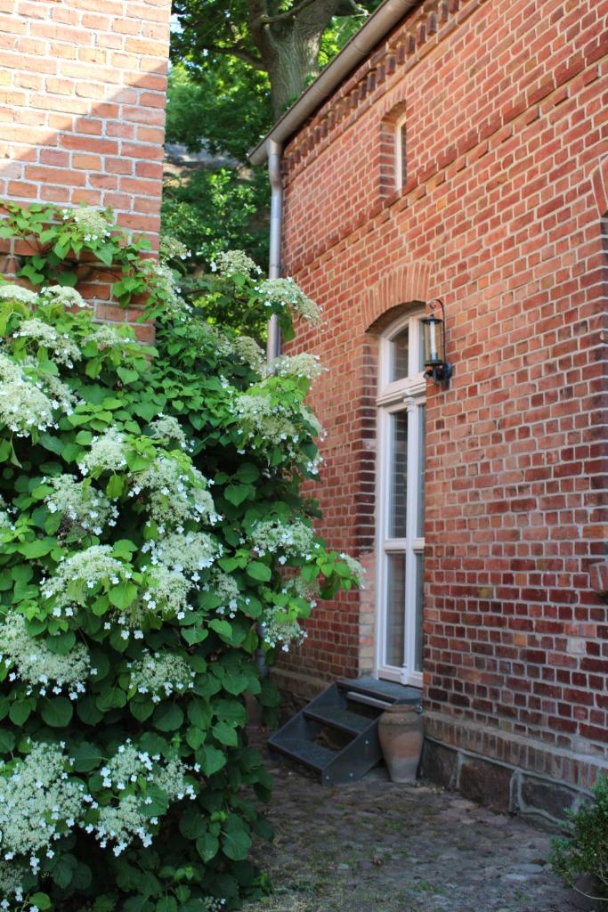 Ferienwohnung Buchholz photo 2