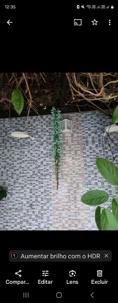 Villa Garden photo 1