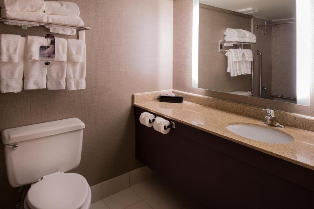 Holiday Inn St Louis Downtown/Convention Center, an IHG Hotel photo 4