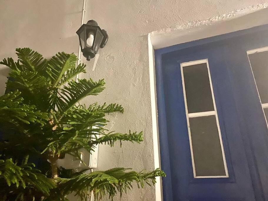 Blue Traditional House