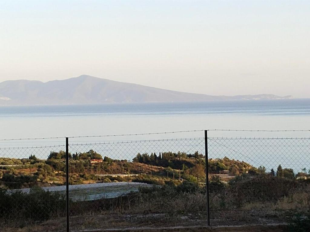 Mountain Top Eleochori Βουνοκορφή photo 4