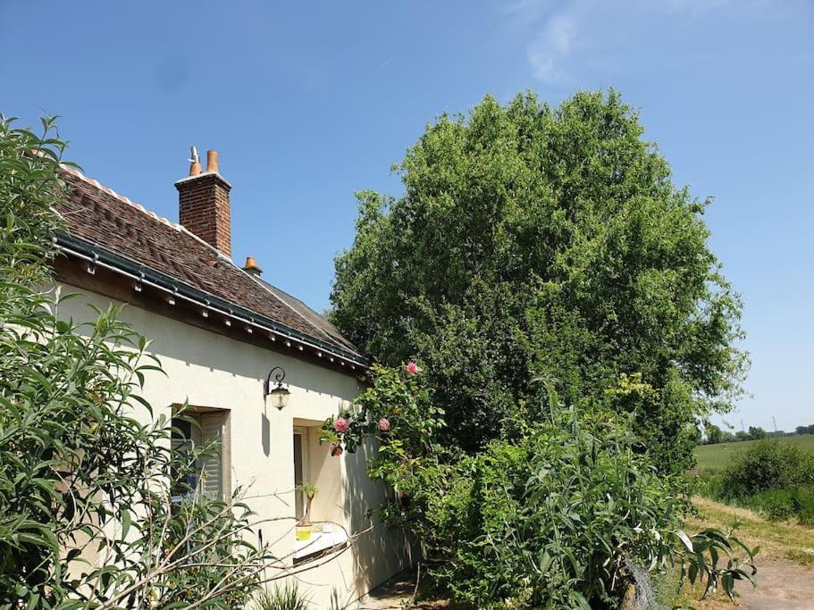 Maison de campagne - Cangey