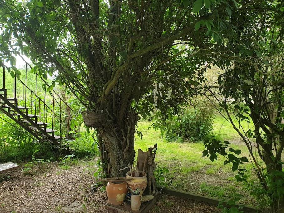Maison de campagne - Cangey photo 2