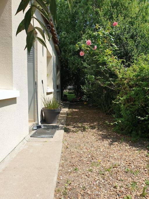 Maison de campagne - Cangey photo 3