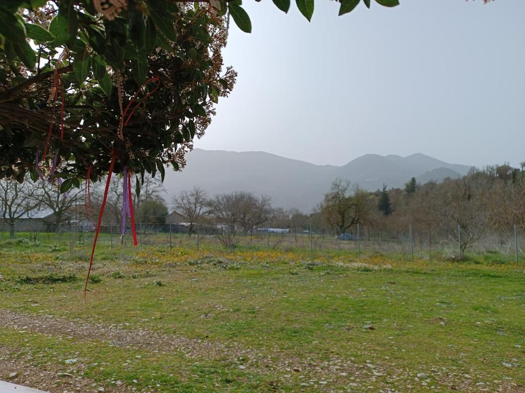 Erymanthos country home photo 1