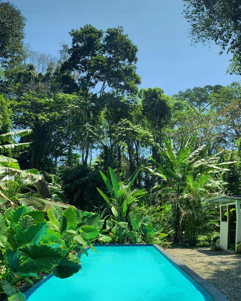 Pura Selva Jungle Casita’s- Casita no.1 photo 2