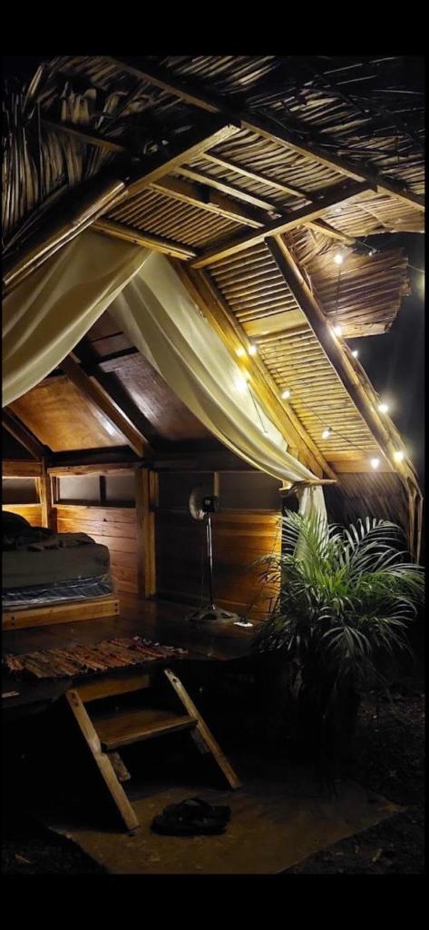 Pura Selva Jungle Casita’s- Casita no.1 photo 3