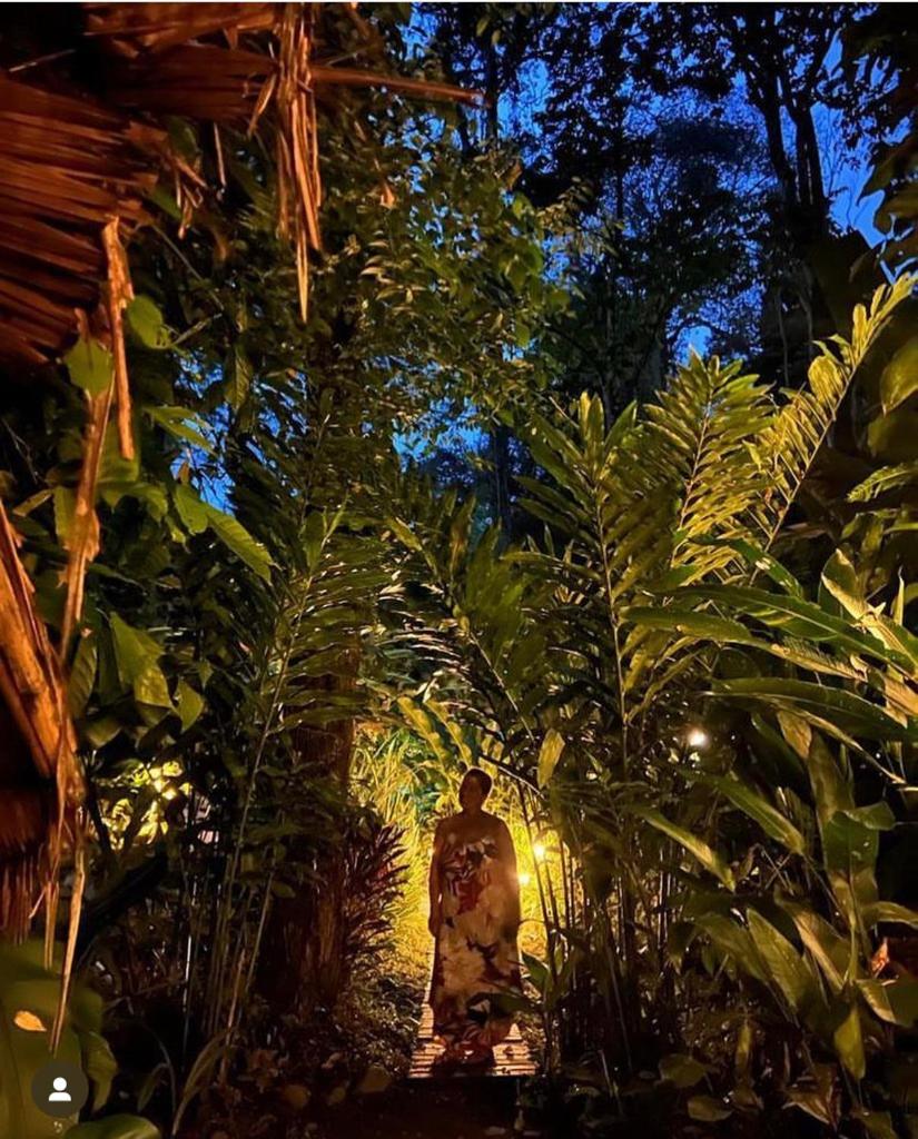 Pura Selva Jungle Casita’s- Casita no.1 photo 4