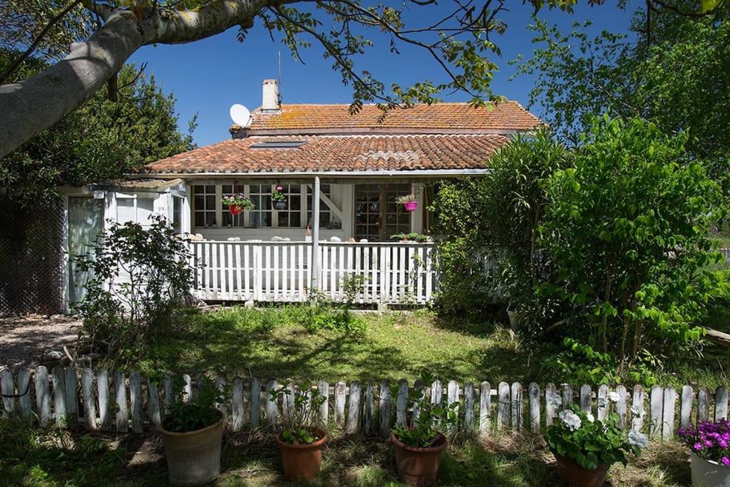 Atypical house near ARLES, Camargue