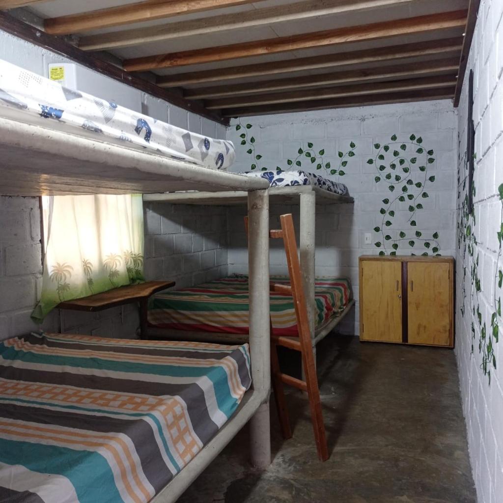 Cabaña Palmeras del Viento photo 1