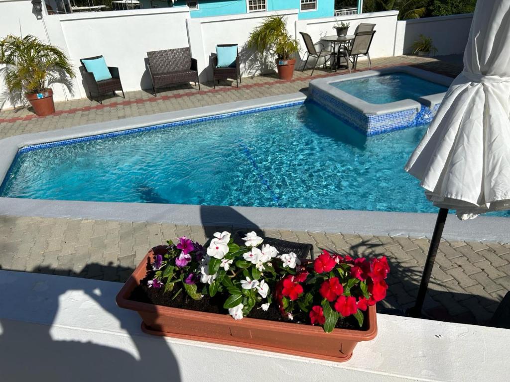 Faith's Villa Tobago photo 3
