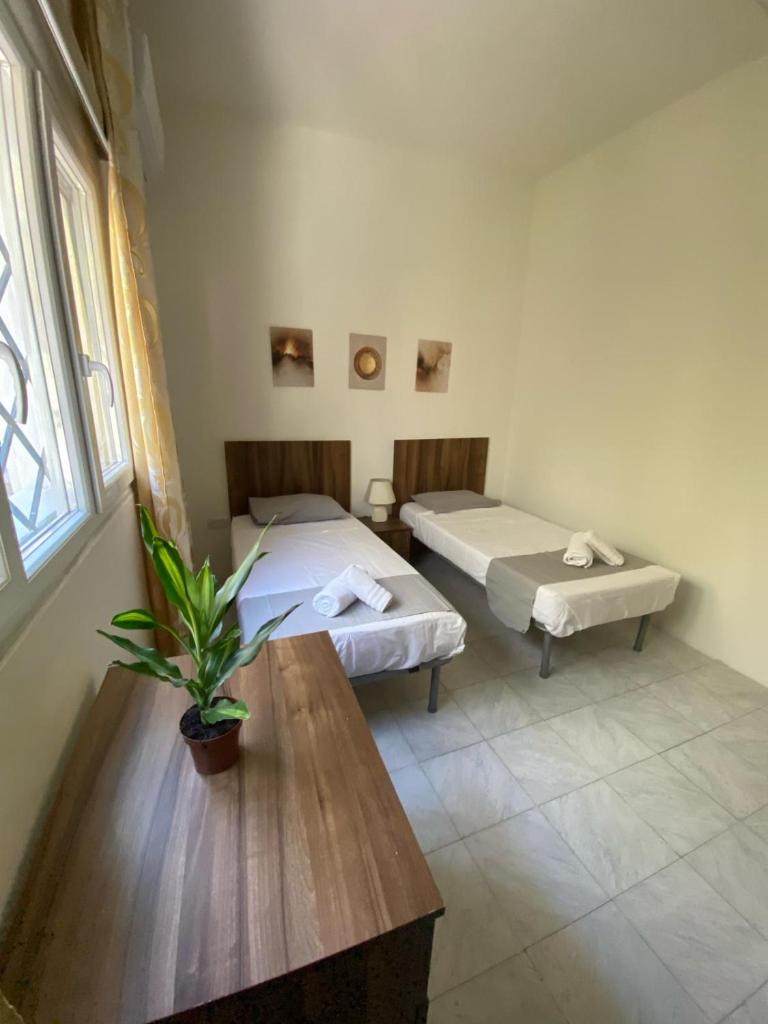 Spacious room with 2 single beds shared bathroom, st Julians photo 4