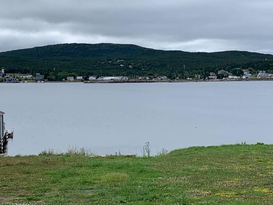 Harry’s House in Heart’s Delight, NL photo 2