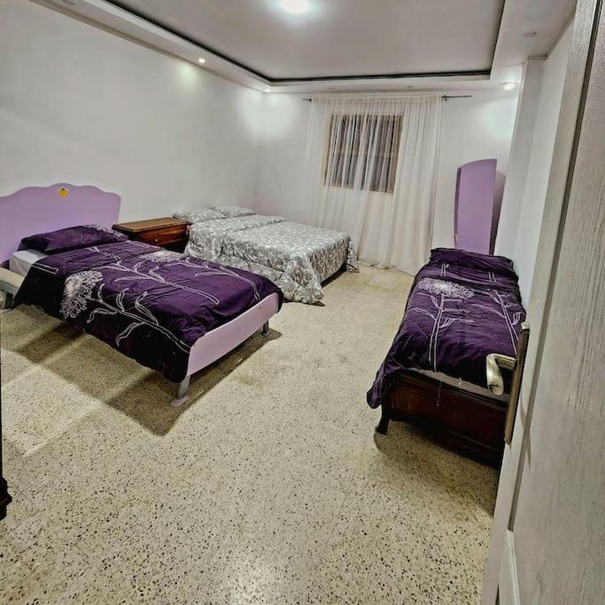 Appartement chaleureux et convivial photo 1