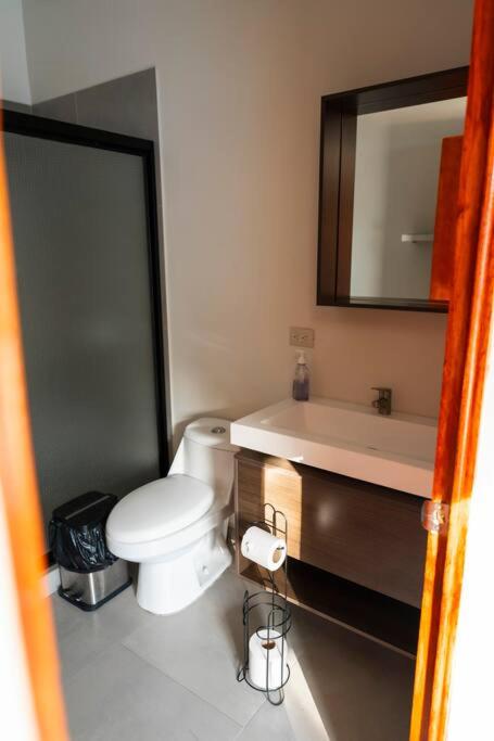 New beach house @ Costa del Sol photo 4
