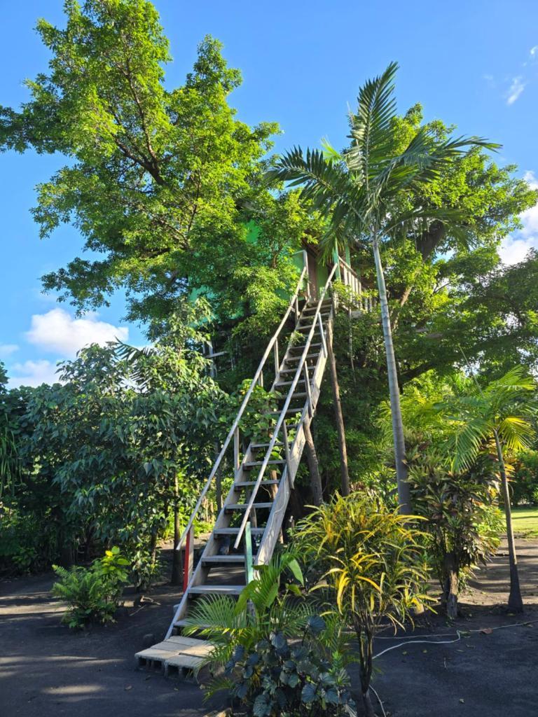Tanna tree house and bangalows photo 4