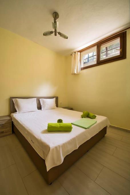 Lovely comfortable apartment on a hill by the sea photo 1