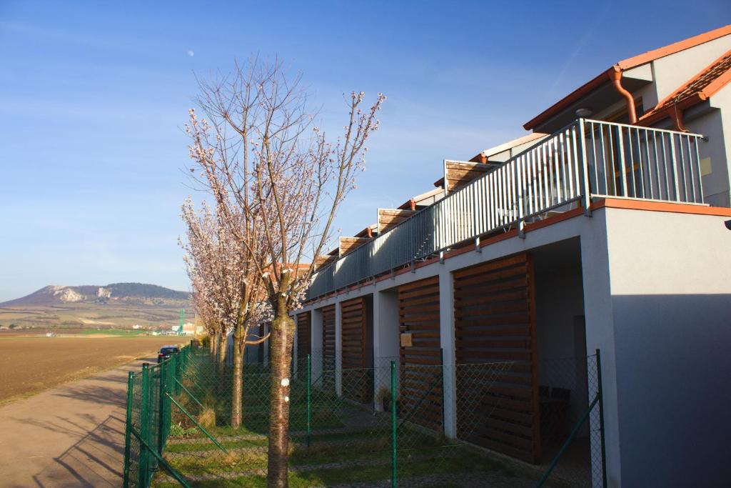 Duplex apartmán Pálava photo 1
