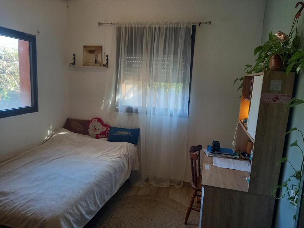 בוסתן בנגב photo 3