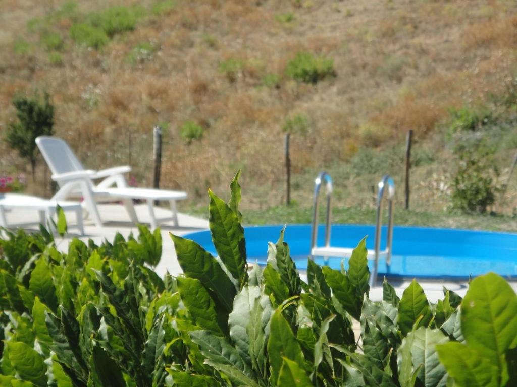 Studio für 2 Personen 1 Kind ca 60 qm in Elmo, Toskana Maremma photo 2