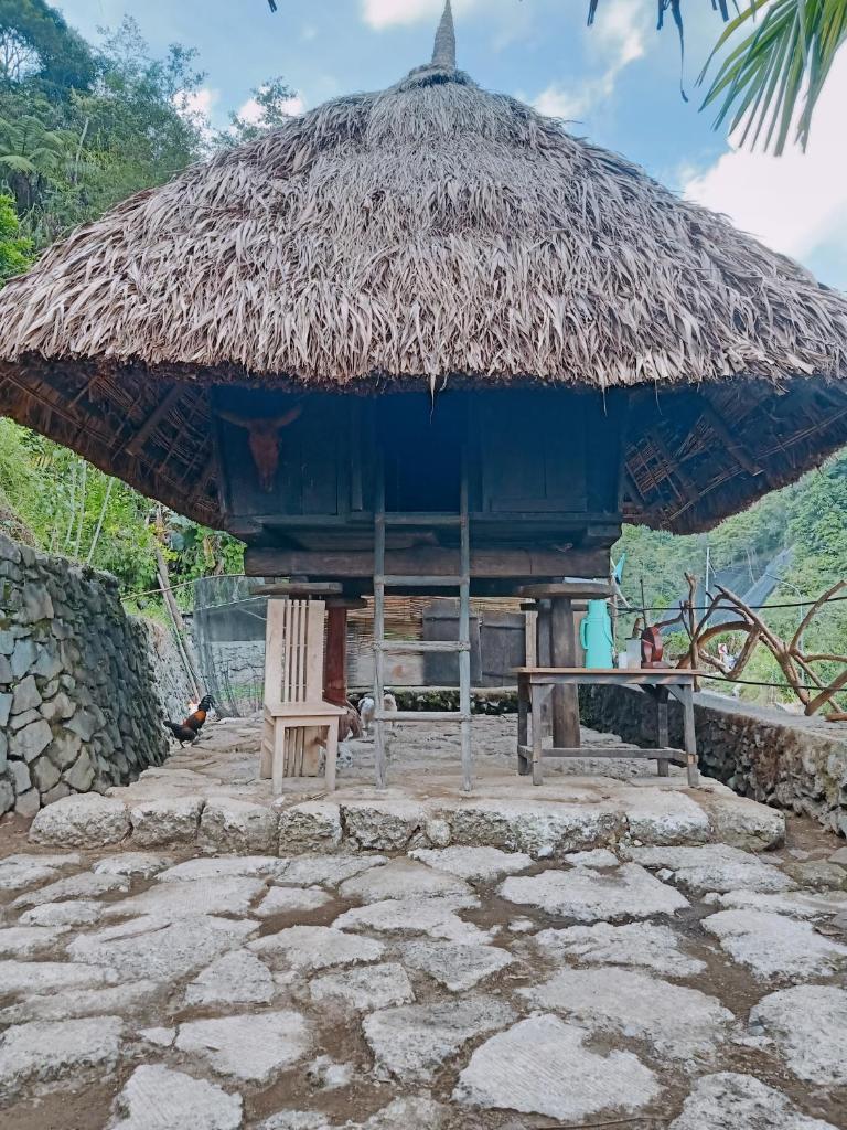 Agamang Traditional House Inn photo 1