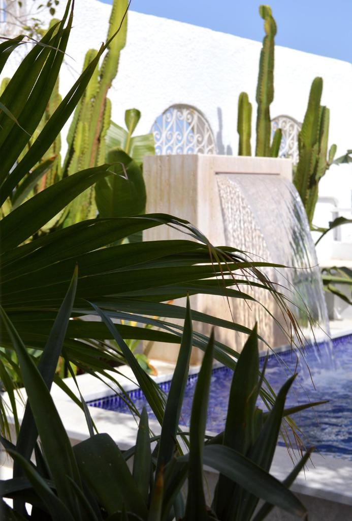 VILLA EDO photo 3
