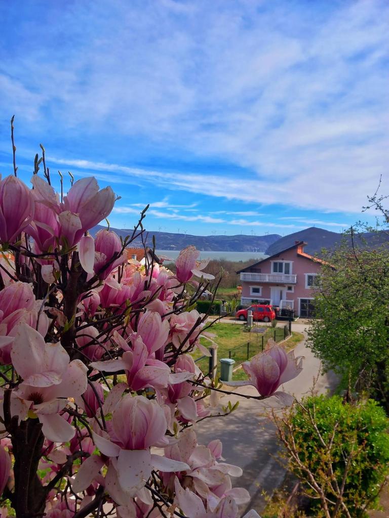 Apartman Aurora photo 1