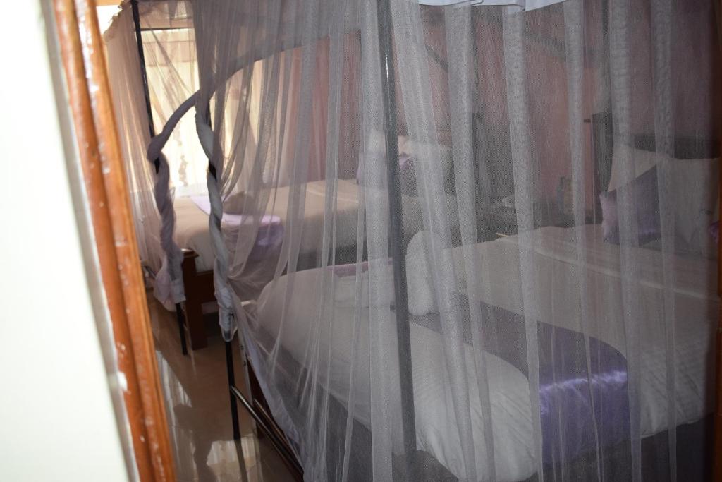 The Cannas Hotel Suites photo 2