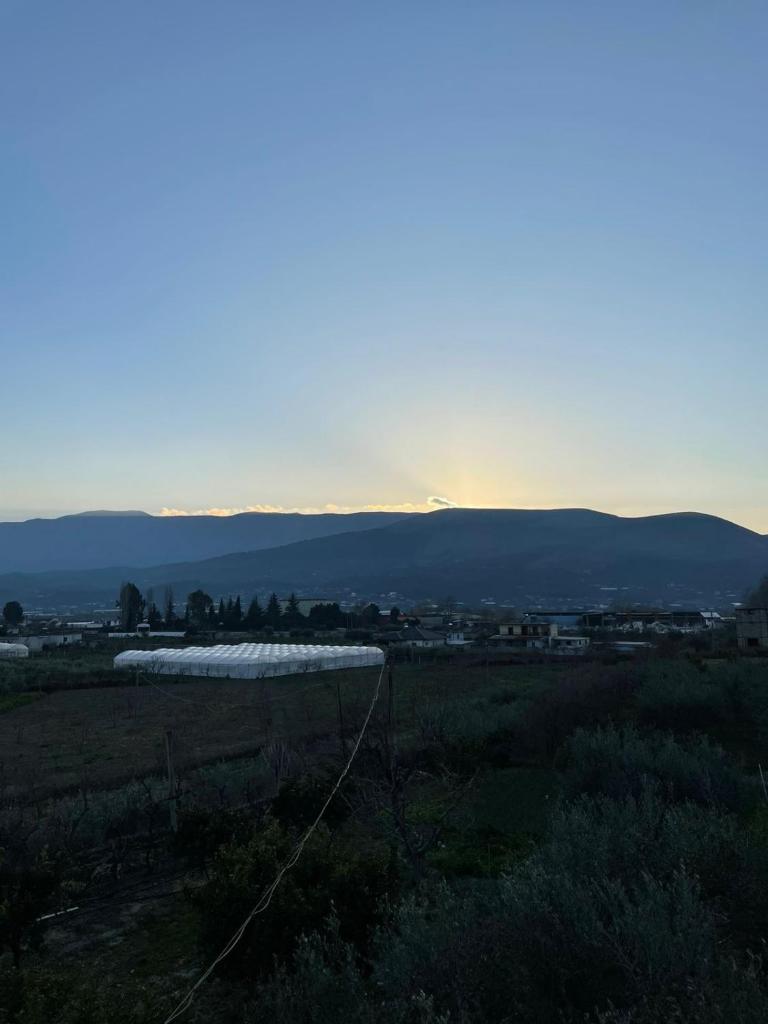 Harmony Villa Berat photo 1