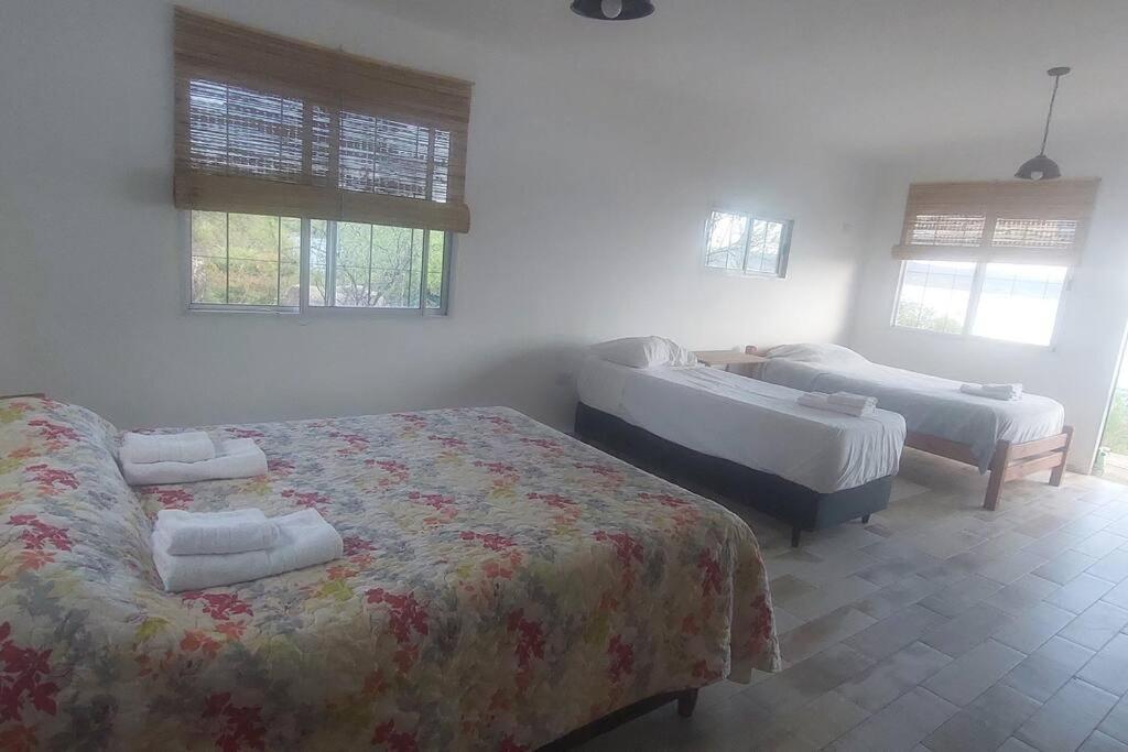 La Casa de Lago photo 2