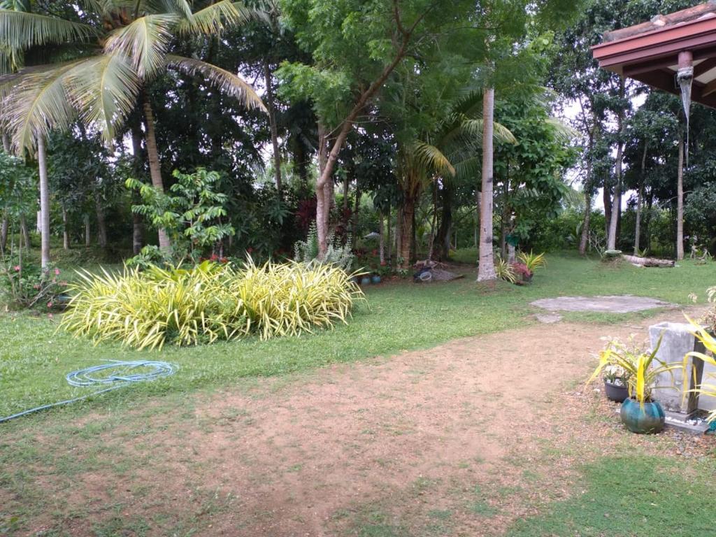 Cinnamon Villege photo 1