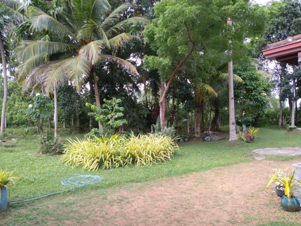 Cinnamon Villege photo 4