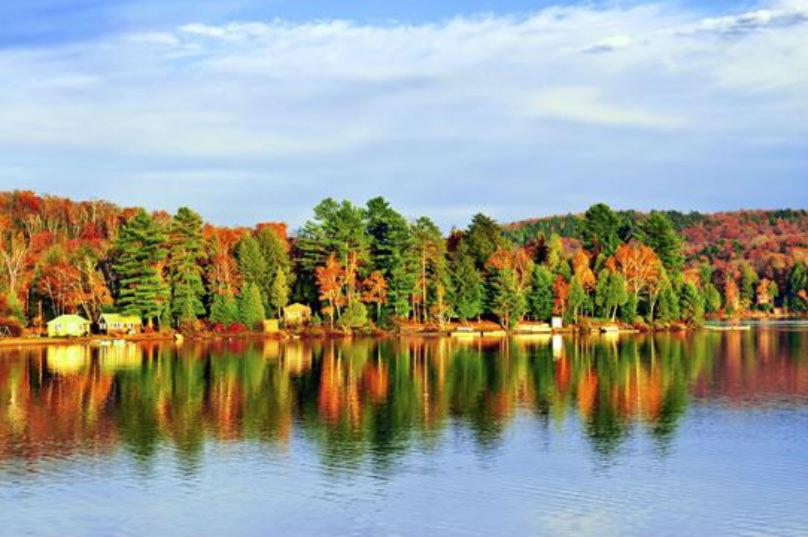 Lakehouse chalet on Sky Lake Ontario 5 bedrooms photo 3