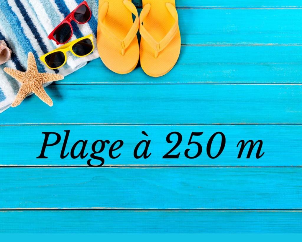 Le BELLA VISTA Vue Port Climatisation Proche Plages et Commerces photo 4