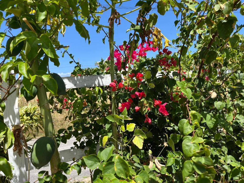 ABBE DYNASTY: Ocean View Holiday Home photo 1