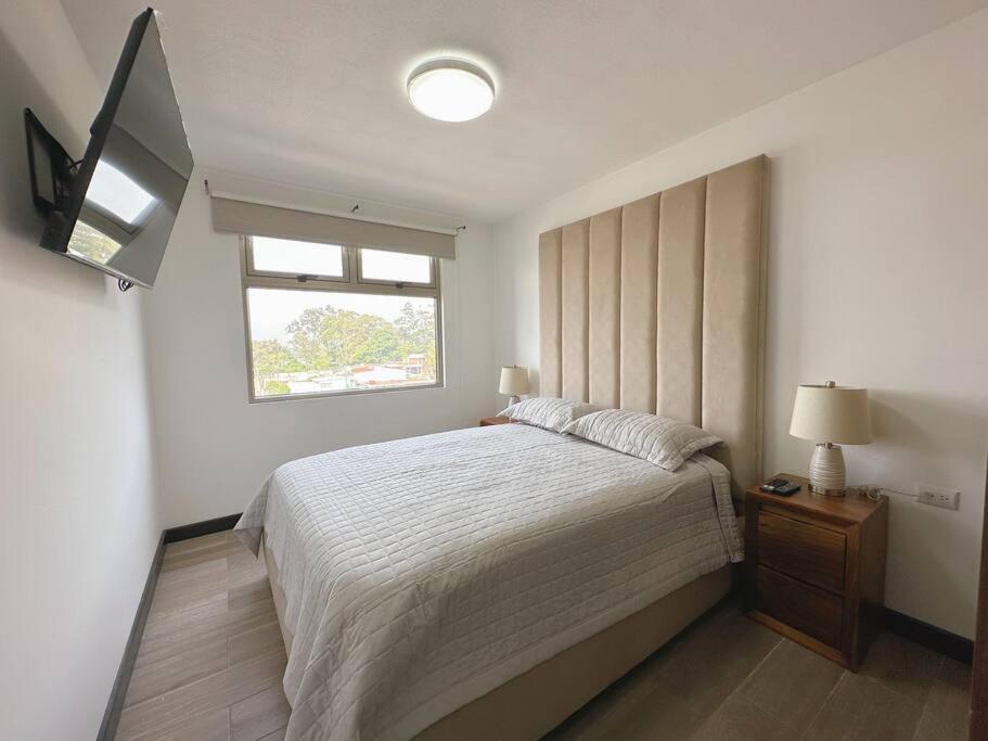 Contemporary 3 Bedroom APT with free parking photo 4