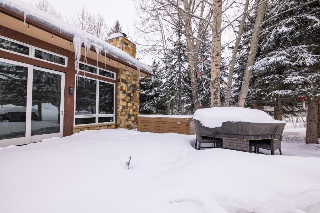 Snowmass Sanctuary photo 2