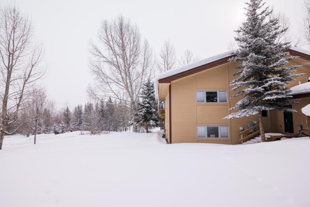 Snowmass Sanctuary photo 3