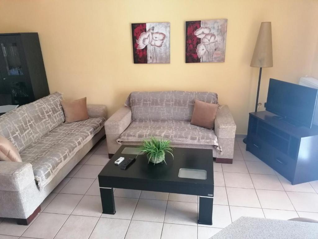 Summer Vibe Apartment photo 2