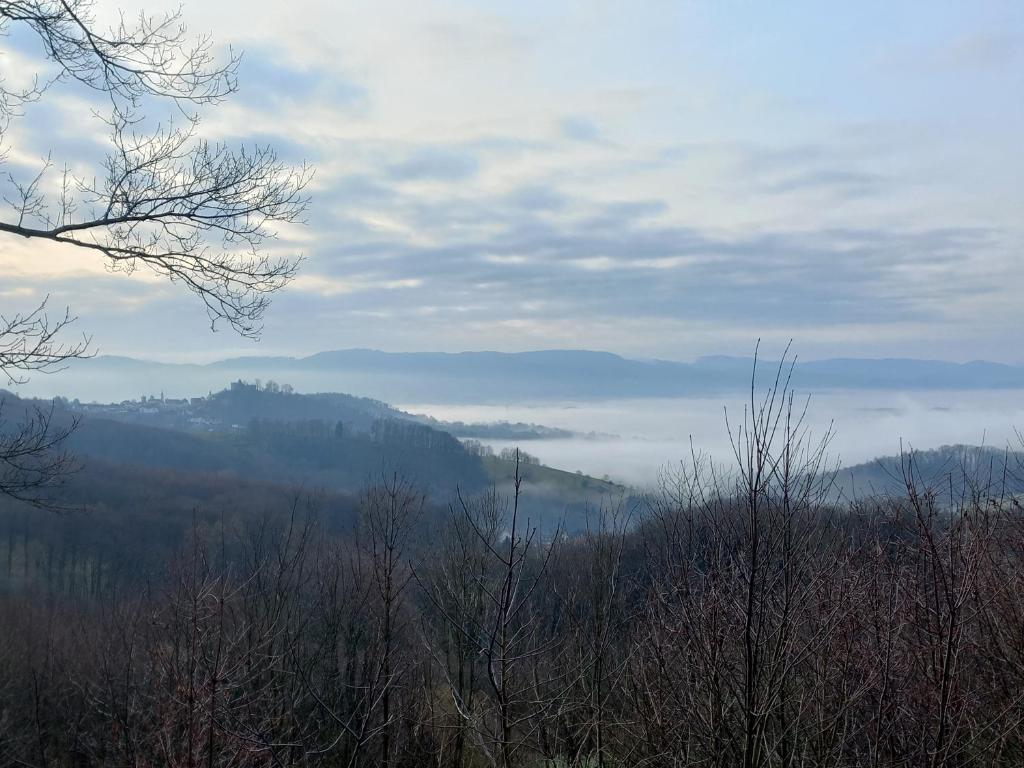 Dorfliebe Winterkasten
