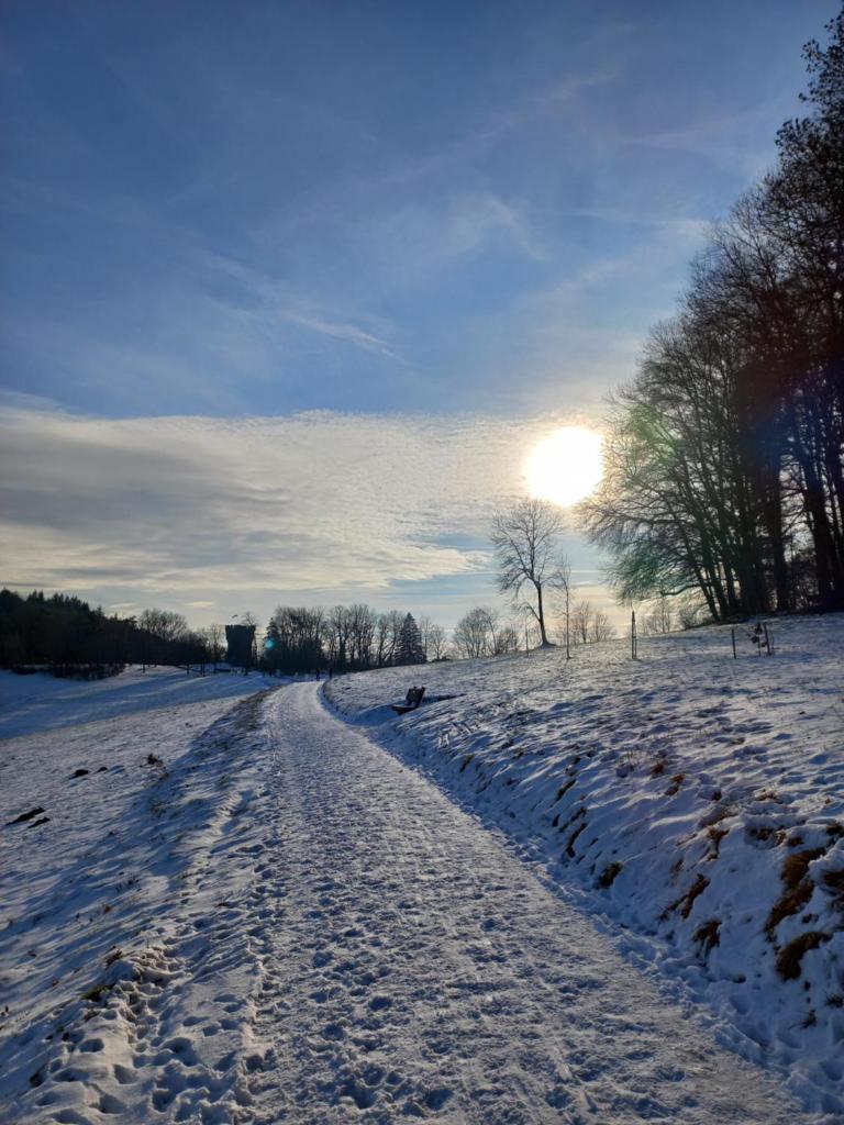 Dorfliebe Winterkasten photo 1