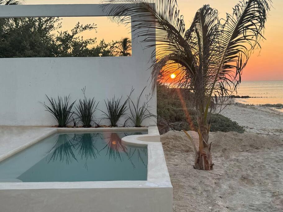 Casa Cancion photo 4