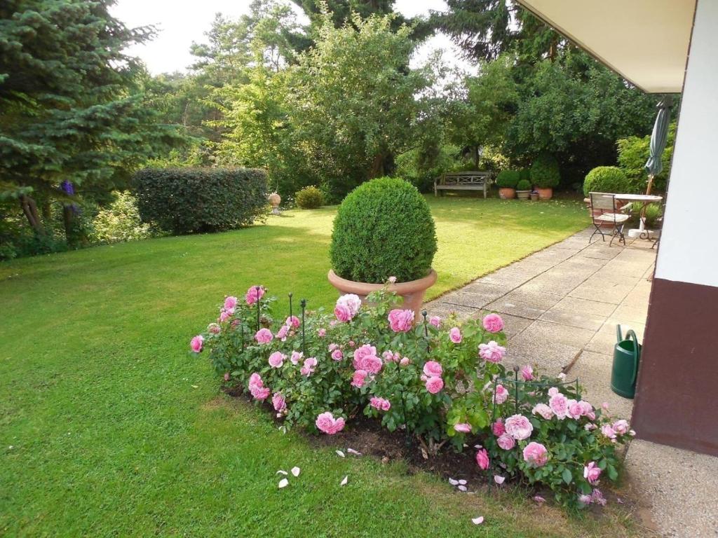 Ferienwohnung im Haus direkt am Waldrand mit Terrasse und Garage photo 1