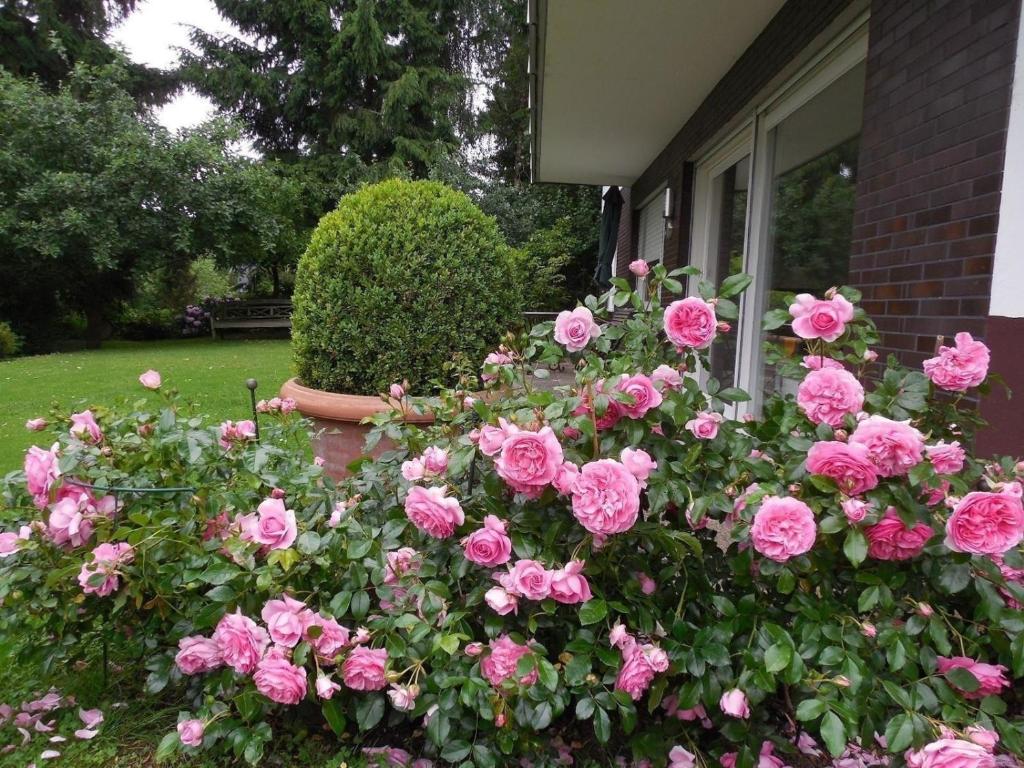 Ferienwohnung im Haus direkt am Waldrand mit Terrasse und Garage photo 2